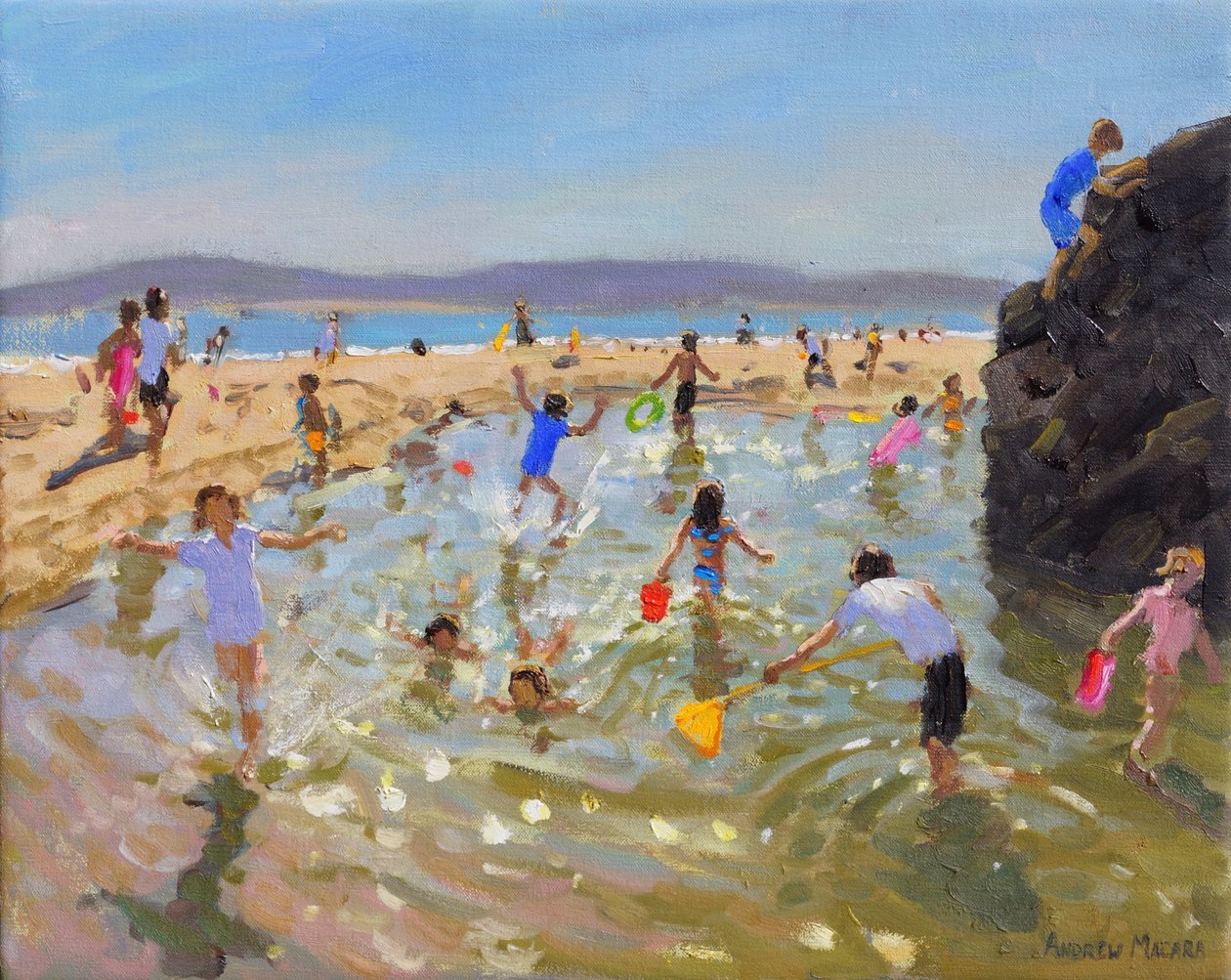 Rock pool.Tenby,2016 av Andrew Macara