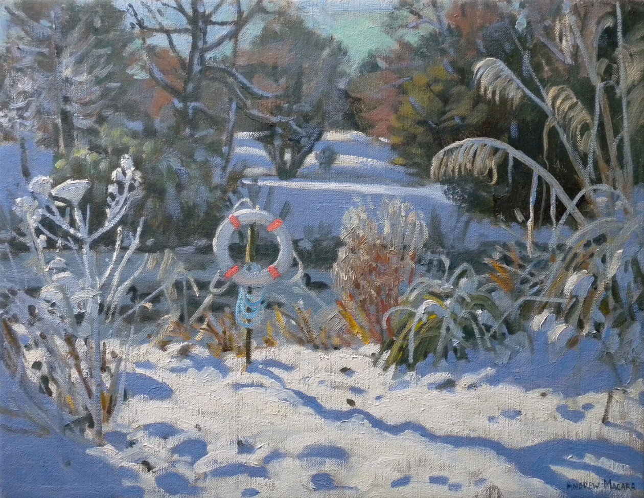  av Andrew Macara