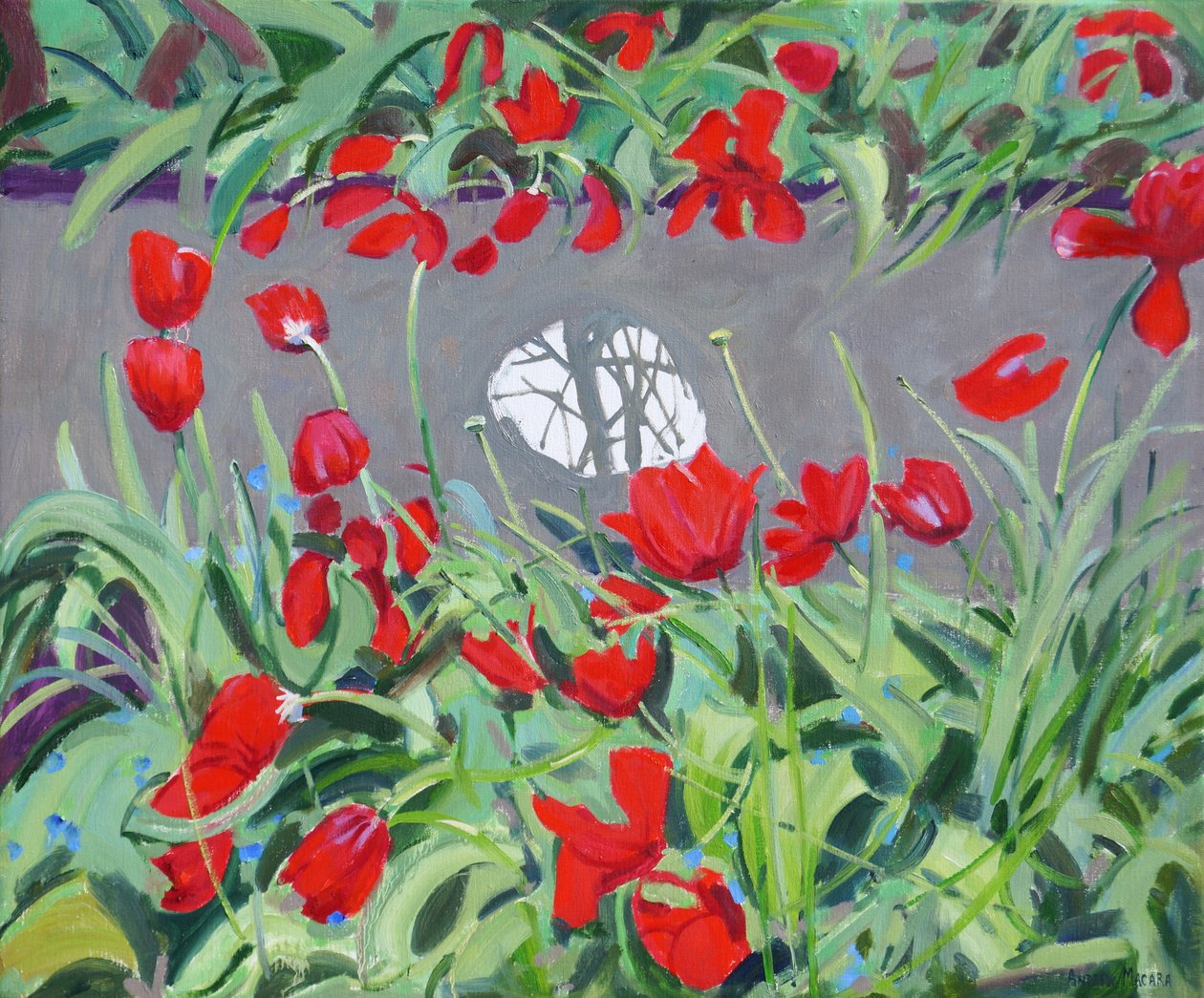 Tulpaner och reflektion, 2017, av Andrew Macara
