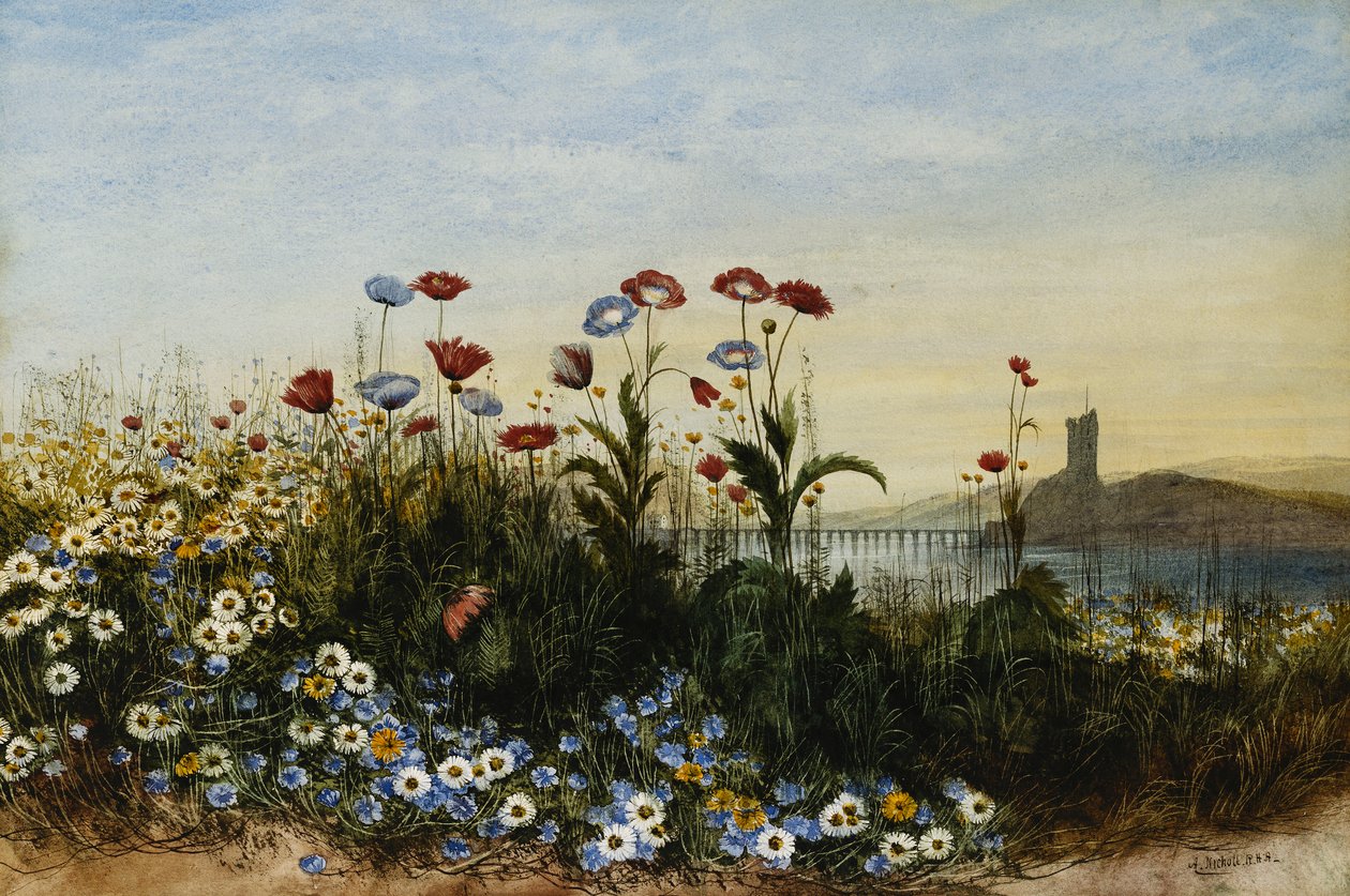 Ferrycarrig Castle, Co. Wexford, Seen Through a Bank of Wild Flowers, av Andrew Nicholl