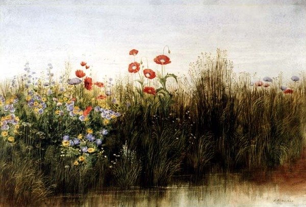 Vilda blommor vid en bäck (akvarell) av Andrew Nicholl