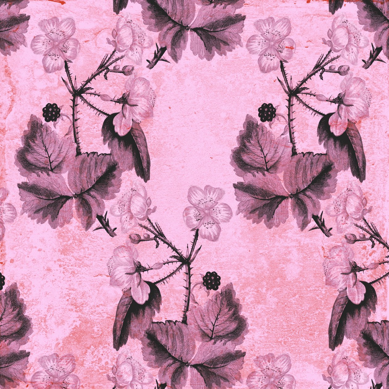 Blackberry Floral, 2017, akvarell och digital av Andrew Watson