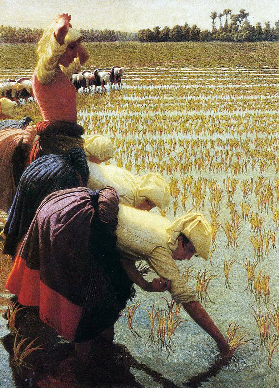 Ett italienskt risfält, 1901 av Angelo Morbelli