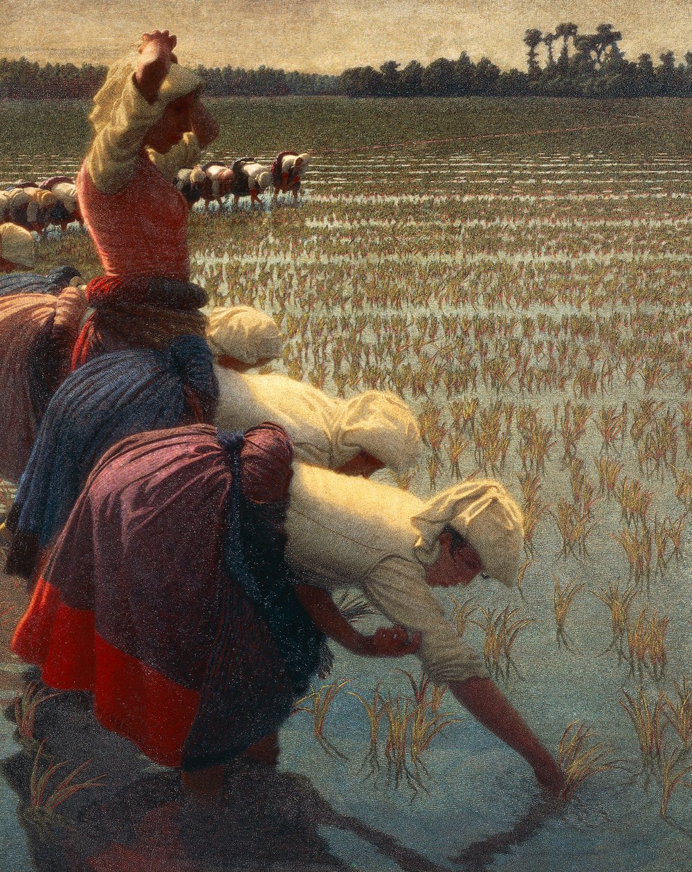 The Mondine (italienska kvinnliga risarbetare) av Angelo Morbelli