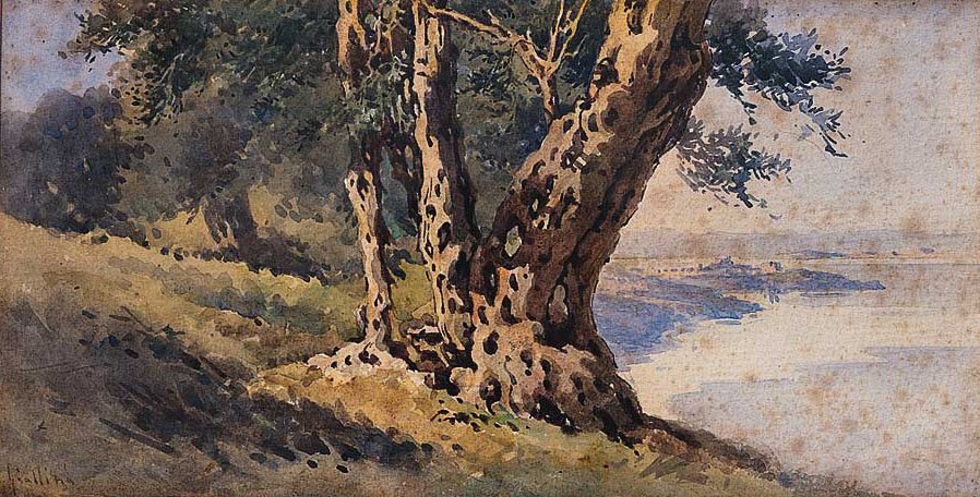  nEnglish: Landscapen av Angelos Giallinas