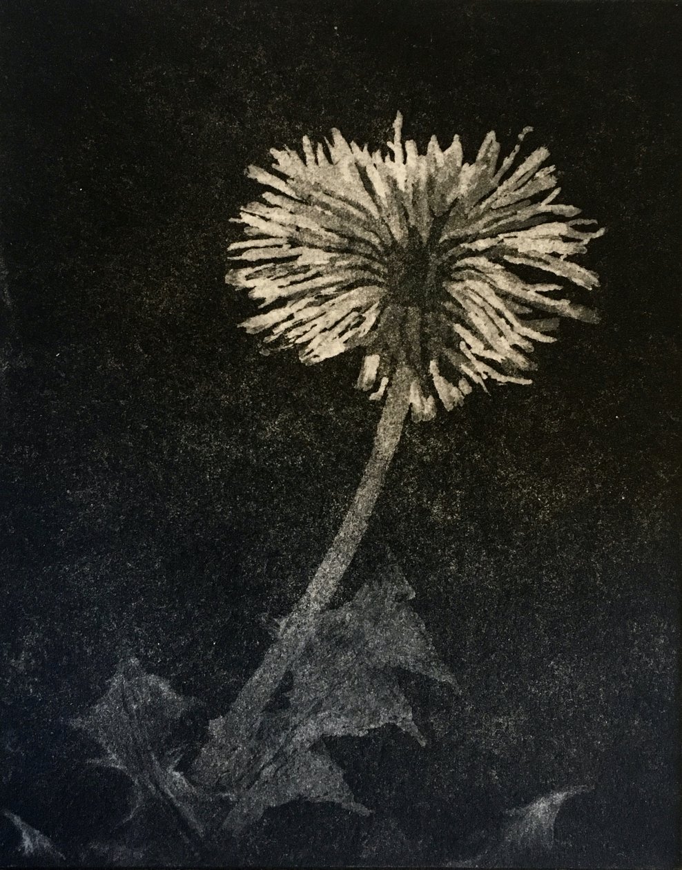 Hope, 2019 (etsning och akvatint på papper) av angus hampel