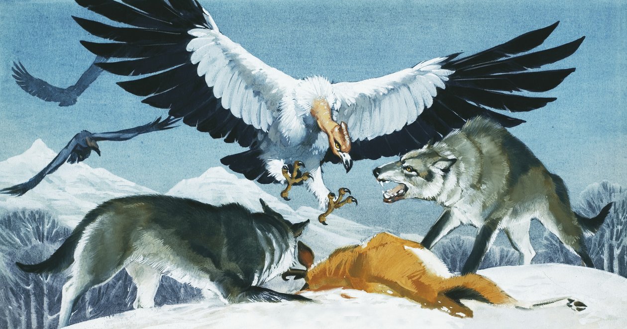 Teratornis av Angus McBride