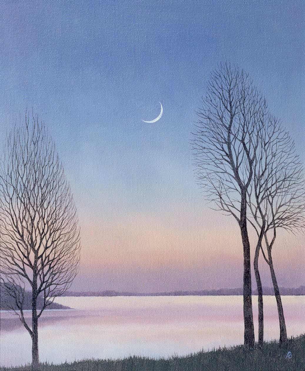 Skymning vid Draycote, 2008 av Anna Phillips