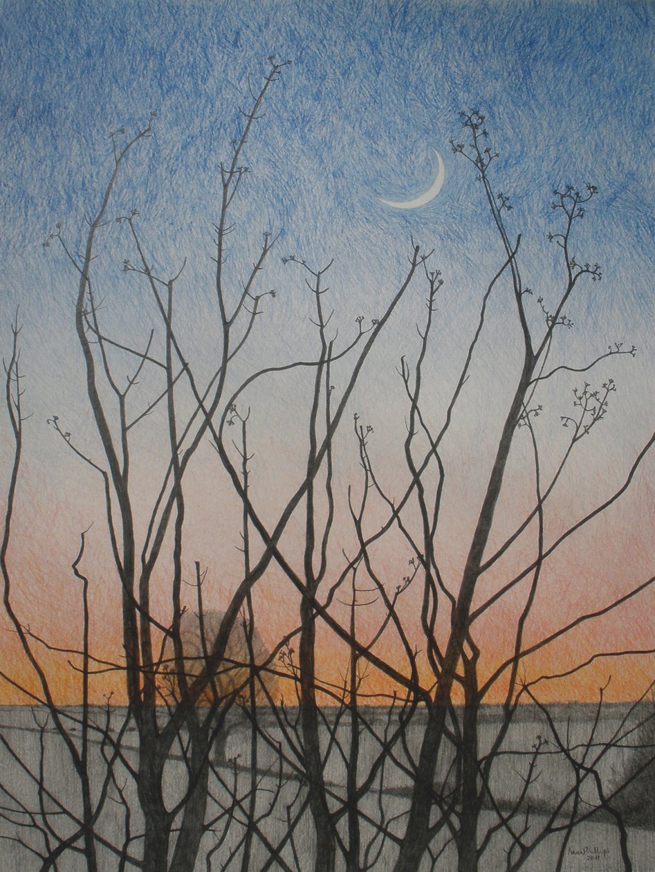 Från mitt fönster, 2011 (färgpenna på papper) av Anna Phillips