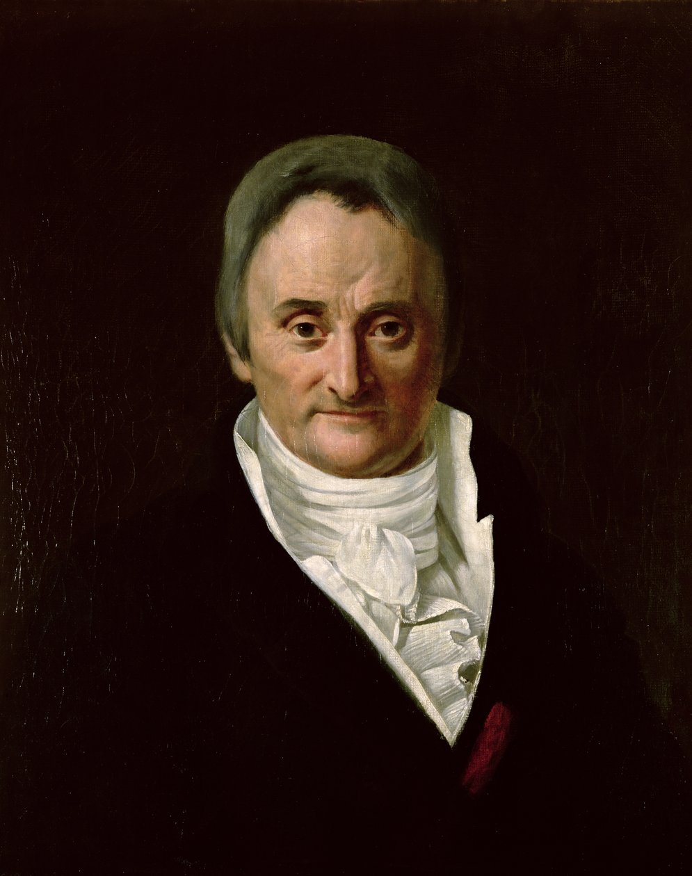 Philippe Pinel (1745-1826) av Anna M. Merimee