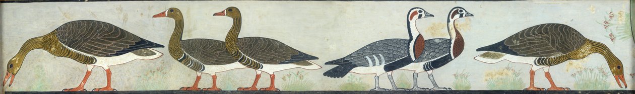 Kopia av väggmålning från Mastaba of Itet, Medum IV, 93-94 gäss, 1900-talet av Anna