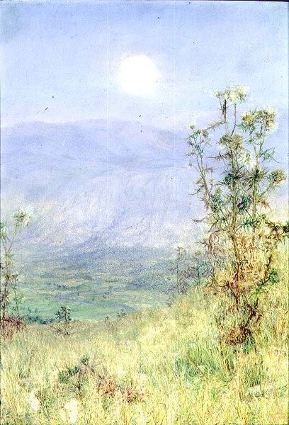 Den lediga skörden av Anna Alma Tadema
