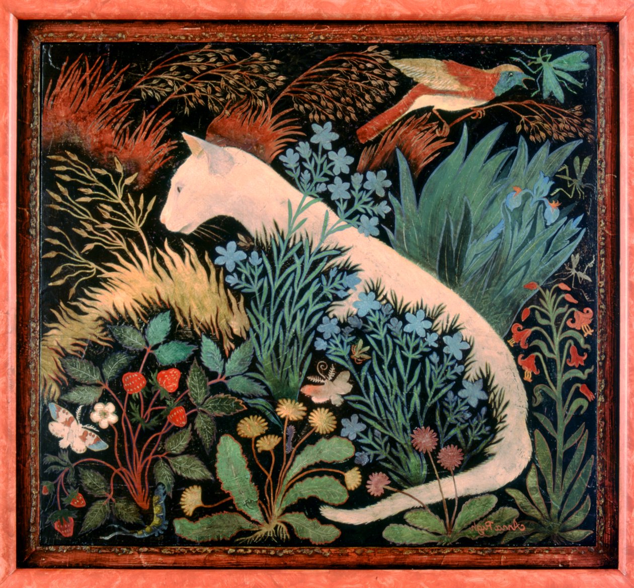 Albino av Anna Pugh