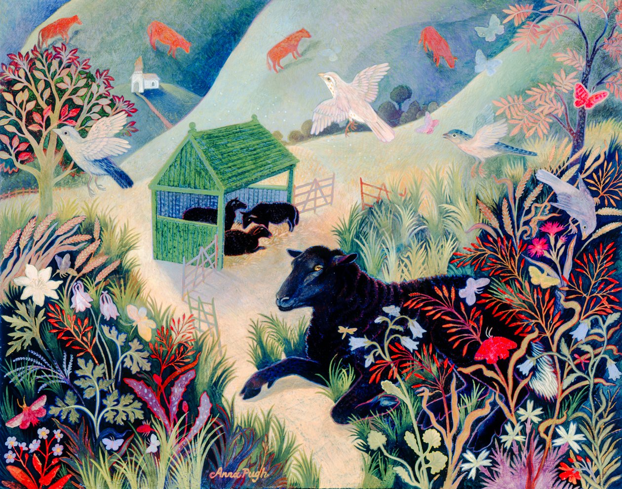 Baa Baa av Anna Pugh
