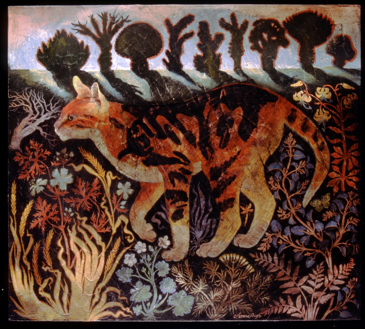 Cambridge Cat av Anna Pugh