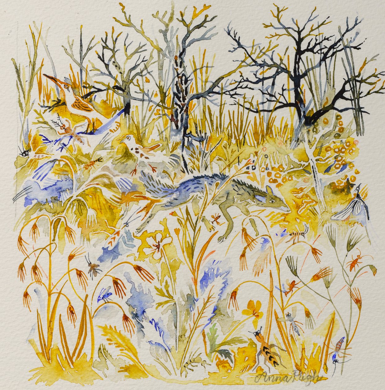 Fox in the Wood, 2023 (akvarell) av Anna Pugh
