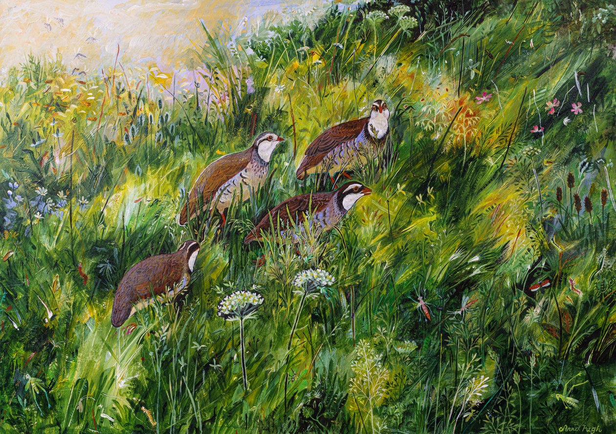 Long Grass, 2022 (akryl på kartong) av Anna Pugh