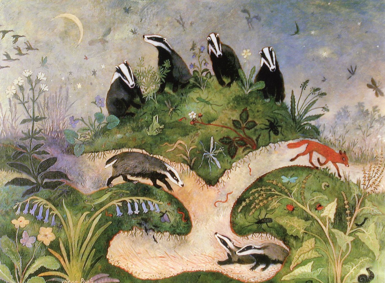 Natthimmel, 2001 (akryl) av Anna Pugh