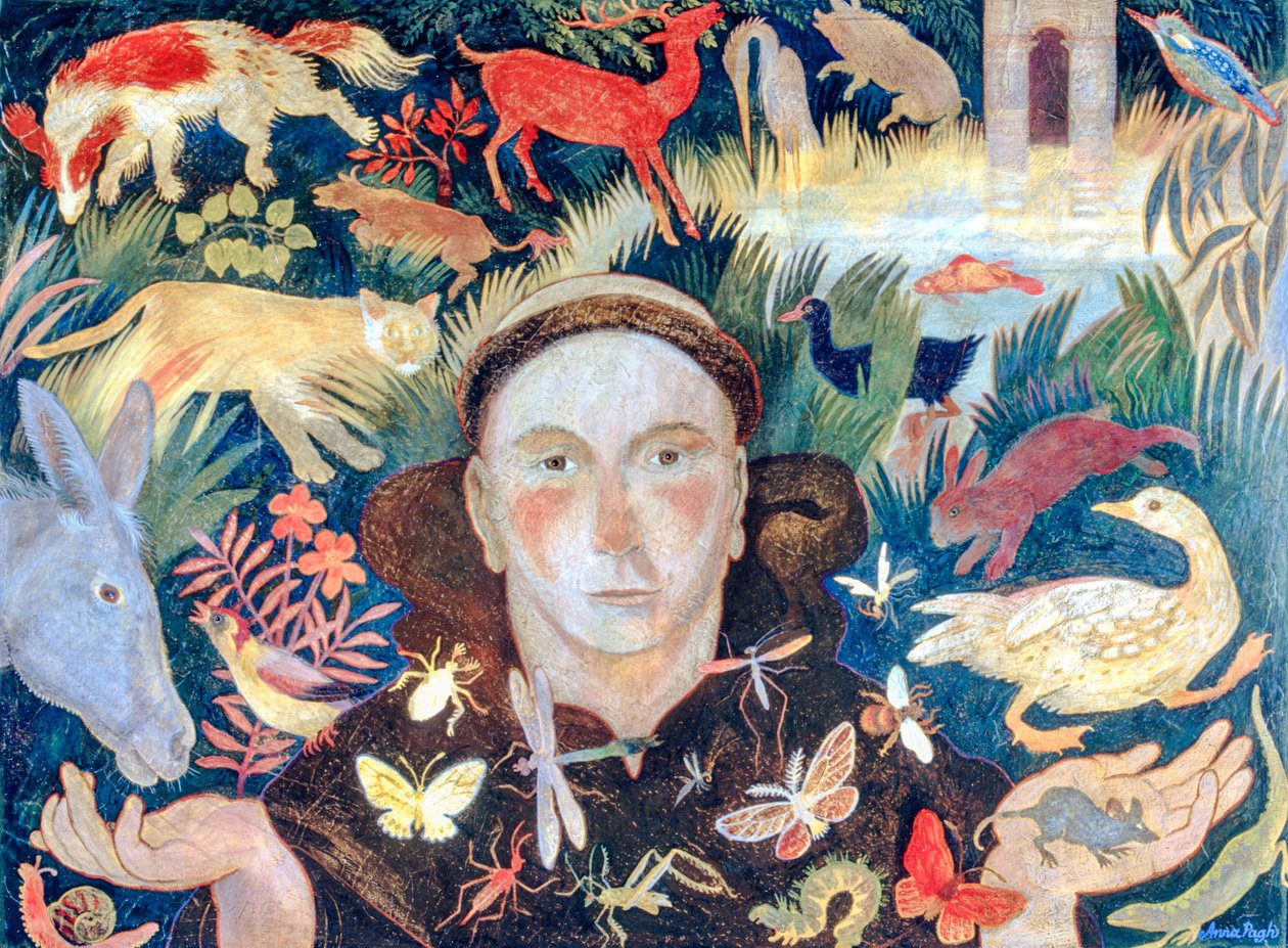 St Francis av Anna Pugh