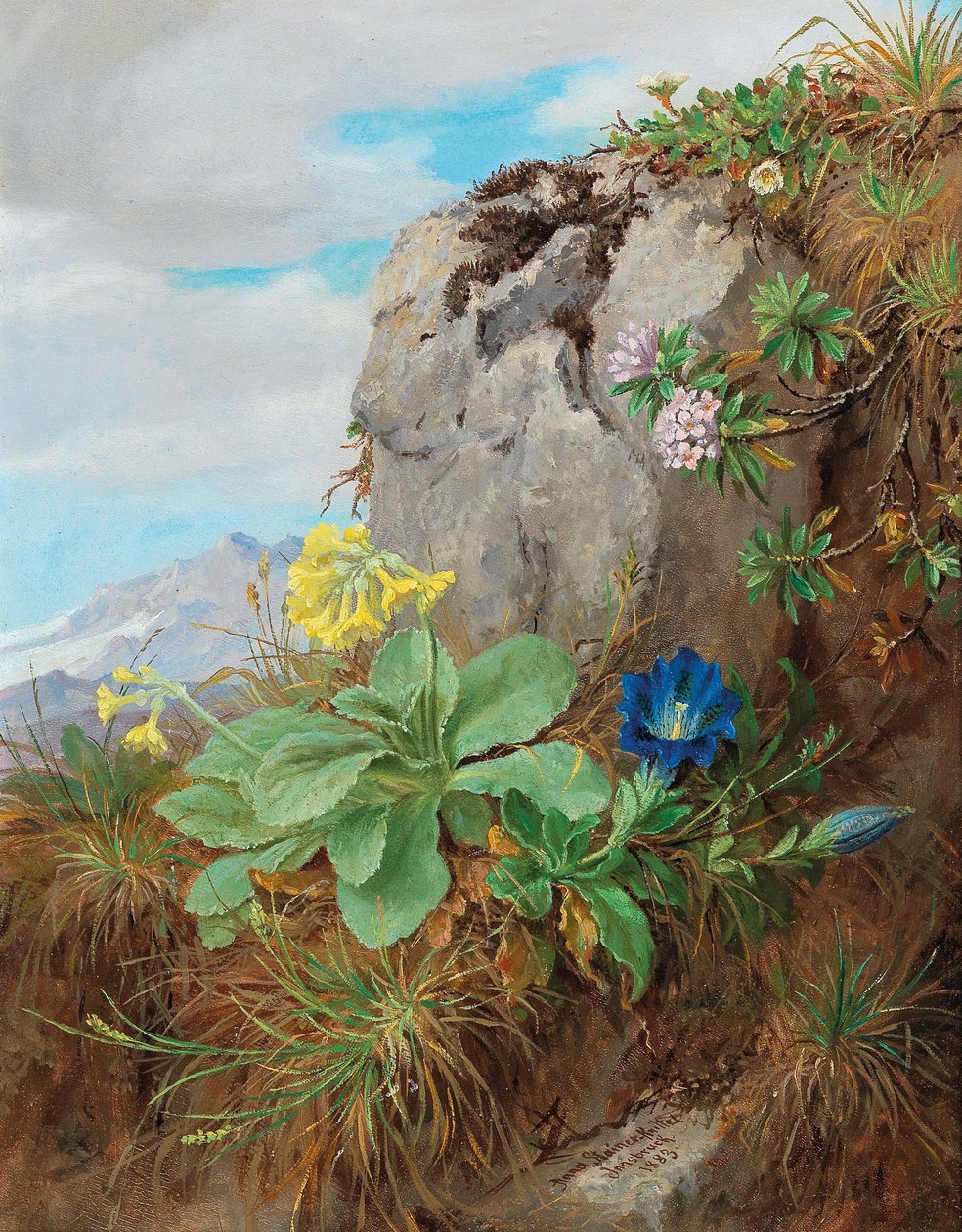 Alpina blommor av Anna Stainer Knittel
