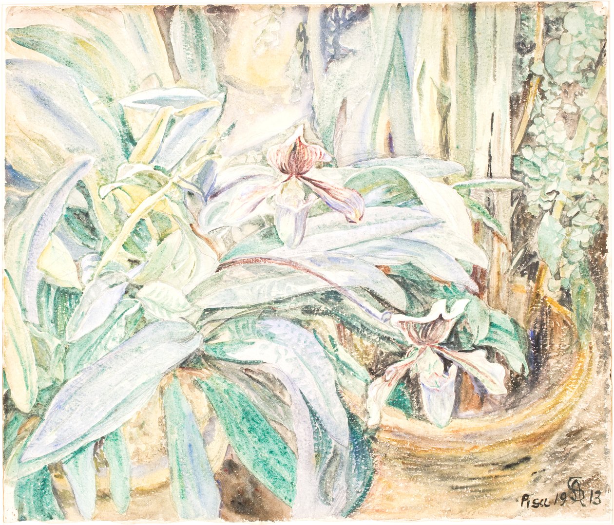 Orkidéer, botaniska trädgården, Pisa av Anna Syberg
