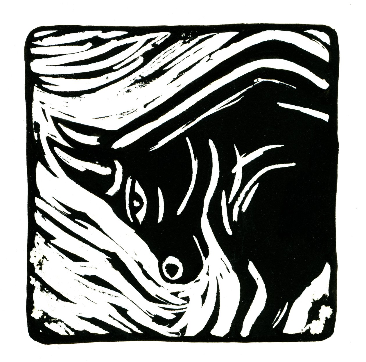 Horoskop (Oxen), 2017 (linnetryck) av Annalisa Morrocco