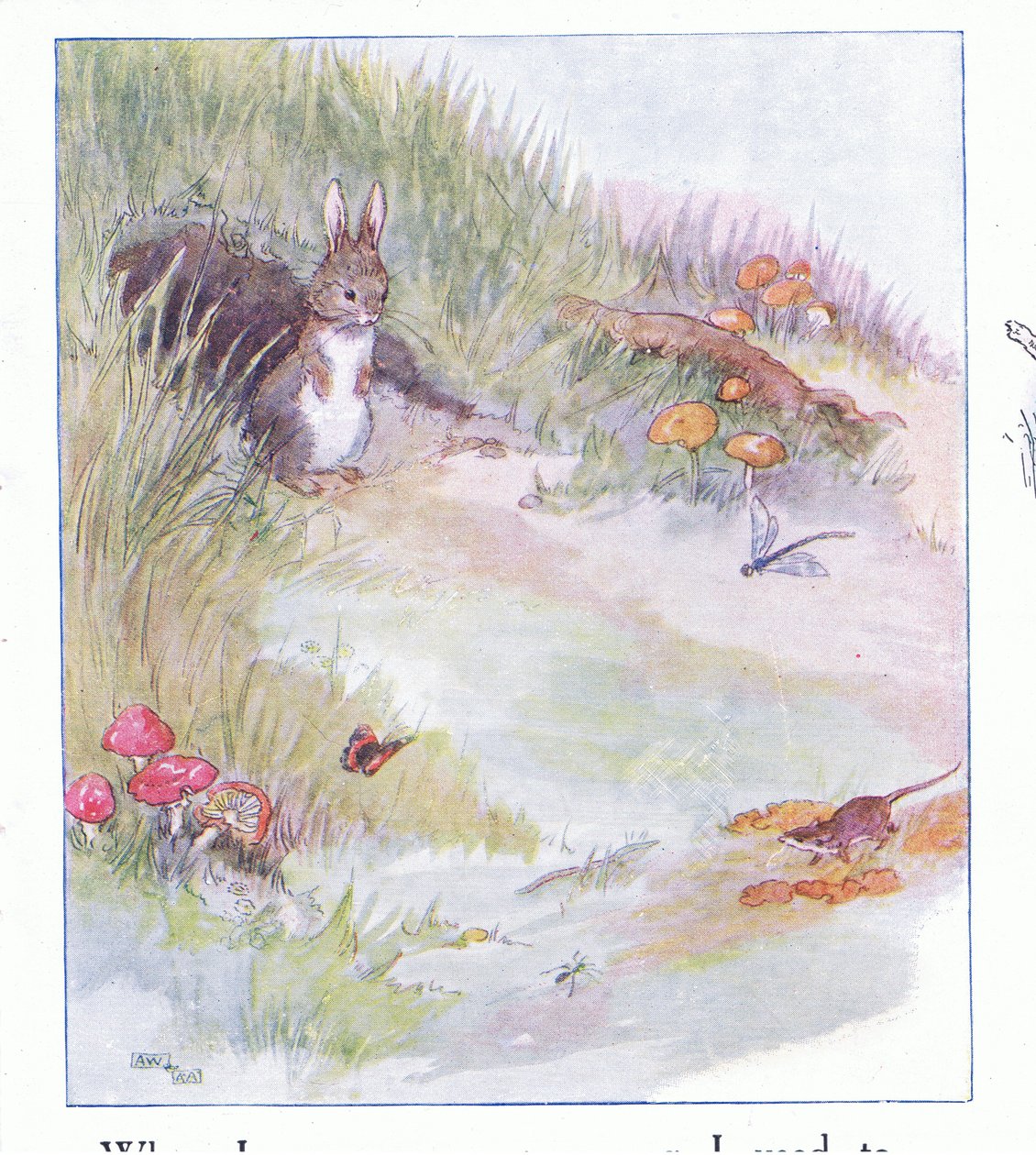 När jag var väldigt, väldigt ung av Anne Anderson