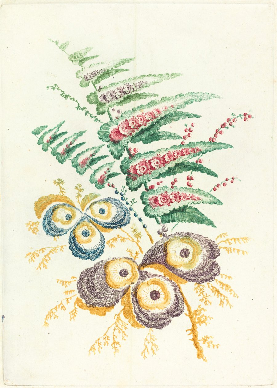 Fantastiska blommor med ostronskalsblommor, ca. 1795. av Anne Allen