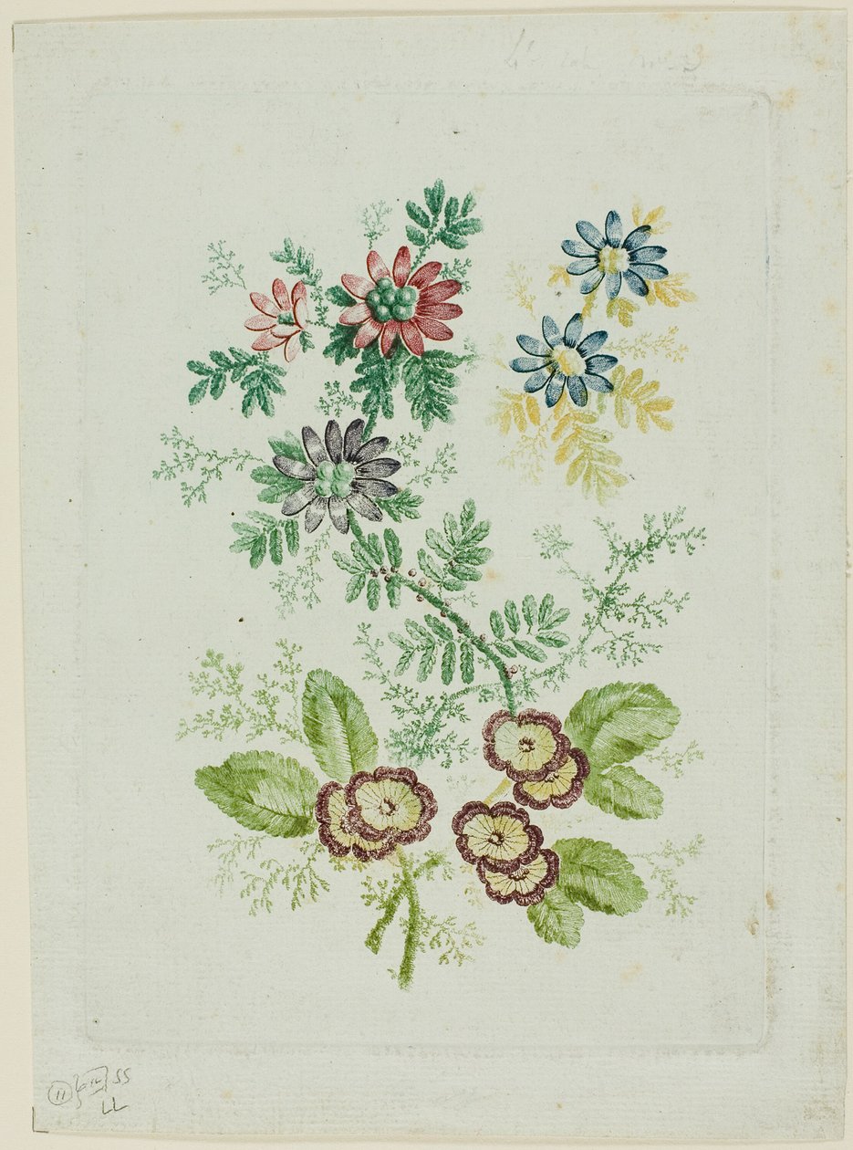 Blommor av Anne Allen