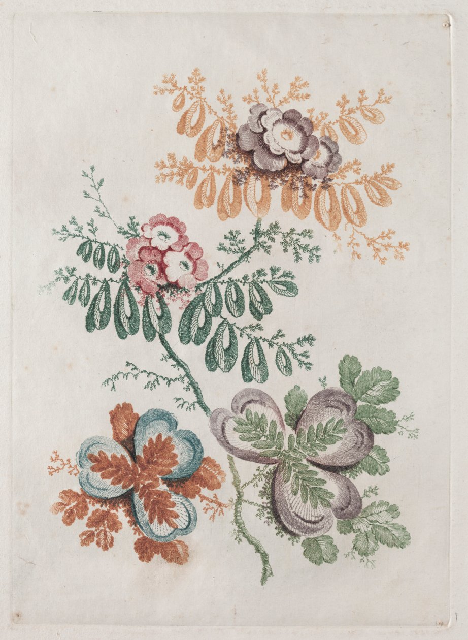 Ny svit med portföljer med blommor Idealisk att använda för design och målning: blomfantasier av Anne Allen