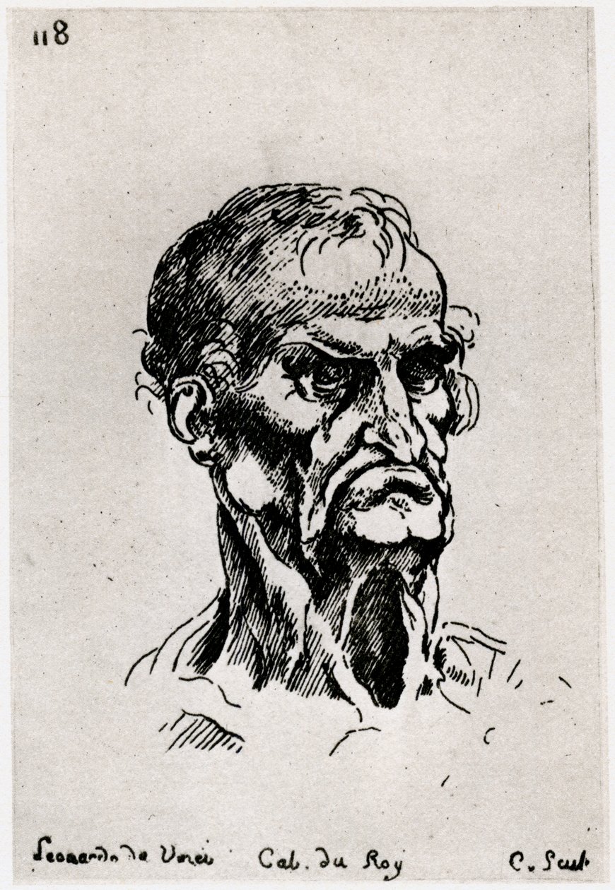 Teckning efter Leonardo de Vinci, c1710-1765 1924 av Anne Claude Philippe de Caylus