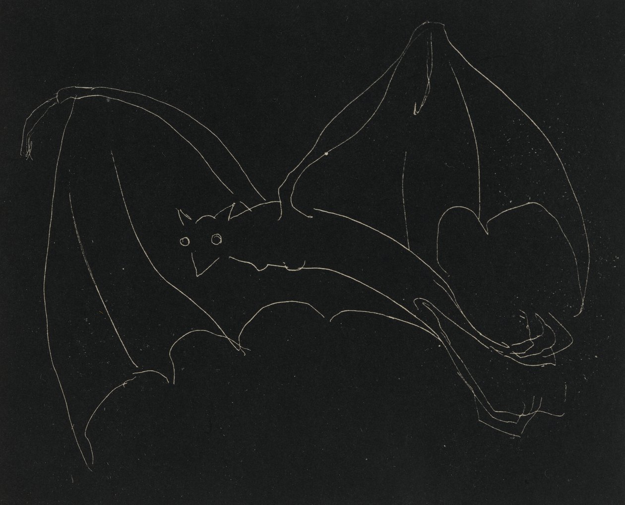 Night Series: The Bat (etsning, vit linje på vävt papper) av Anne Goldthwaite