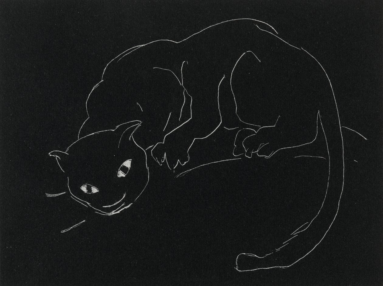 Night Series: The Cat (litho, vit linje på vävt papper) av Anne Goldthwaite