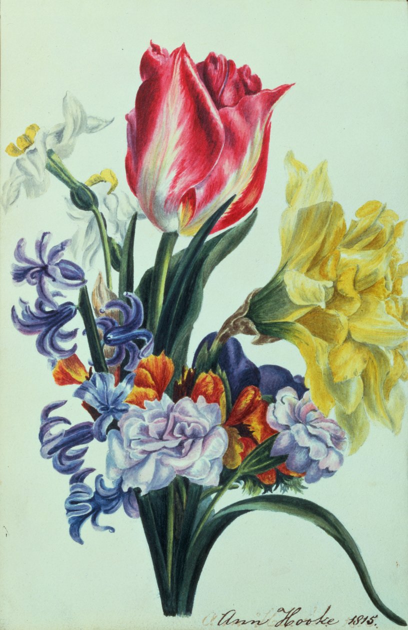 Vårblommor, 1815 av Anne Hooke