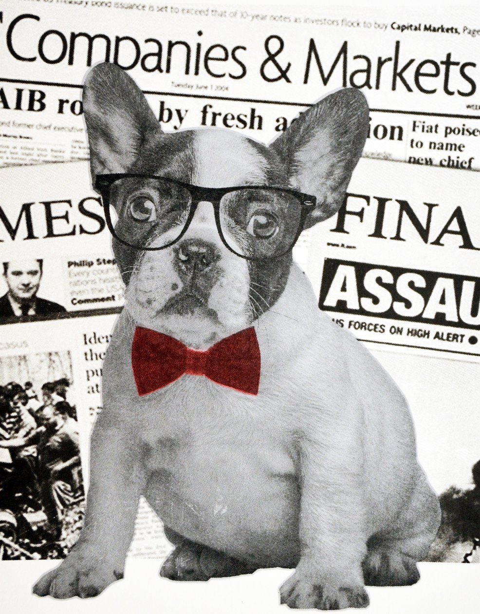 Wall Street Dog, 2015 av Anne Storno