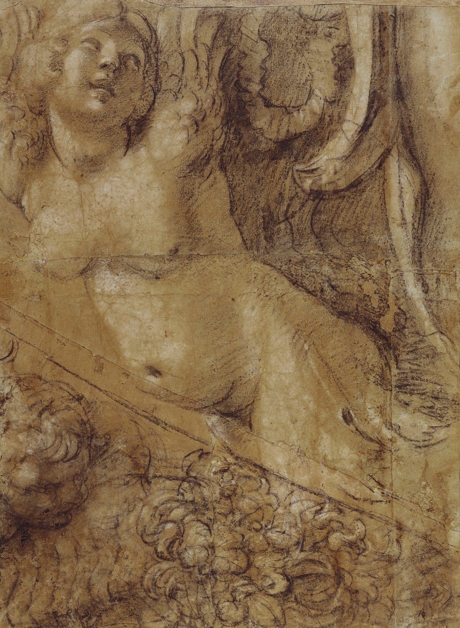 Cartone Sirena av Annibale Carracci