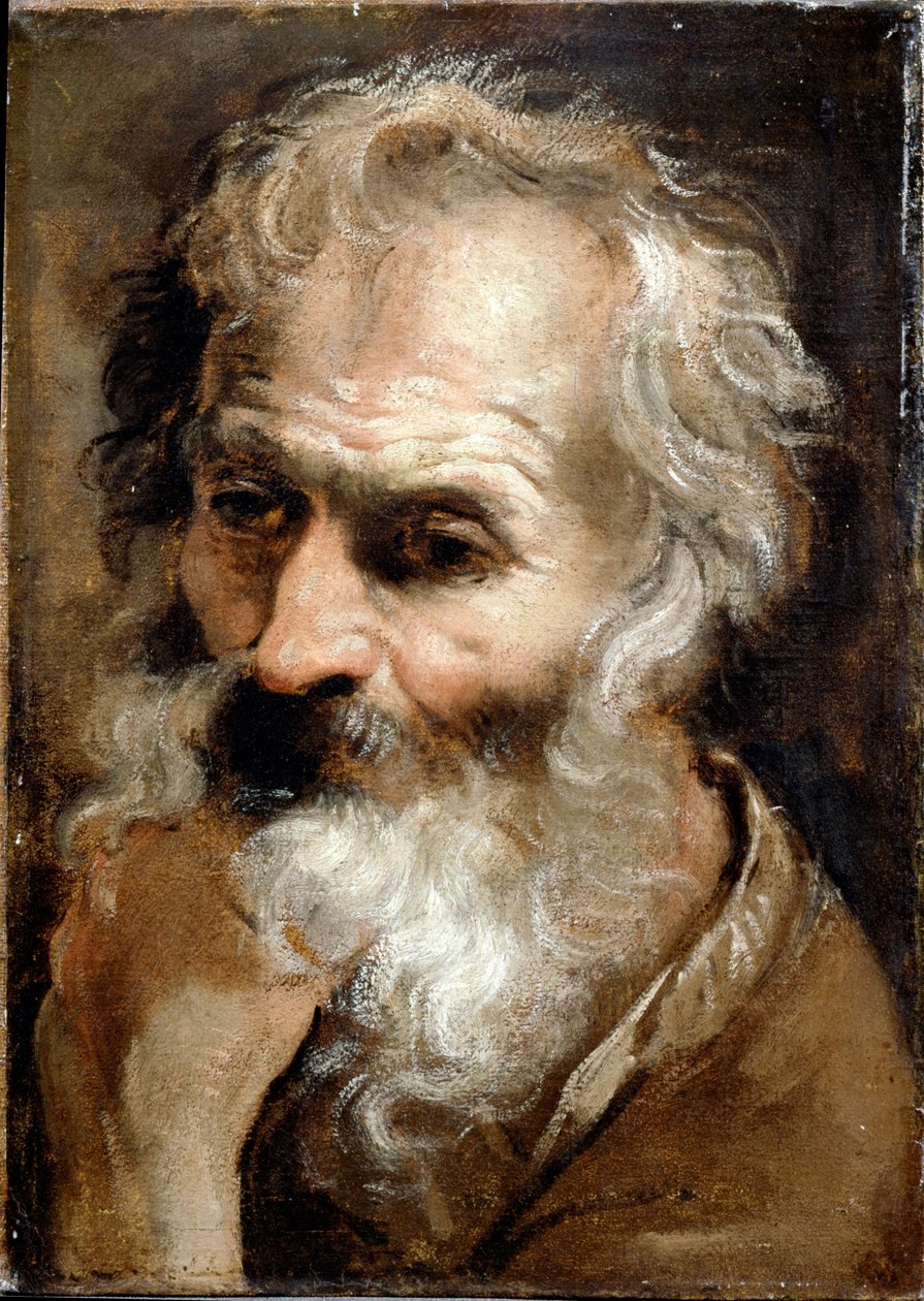 Huvud för en gammal man av Annibale Carracci
