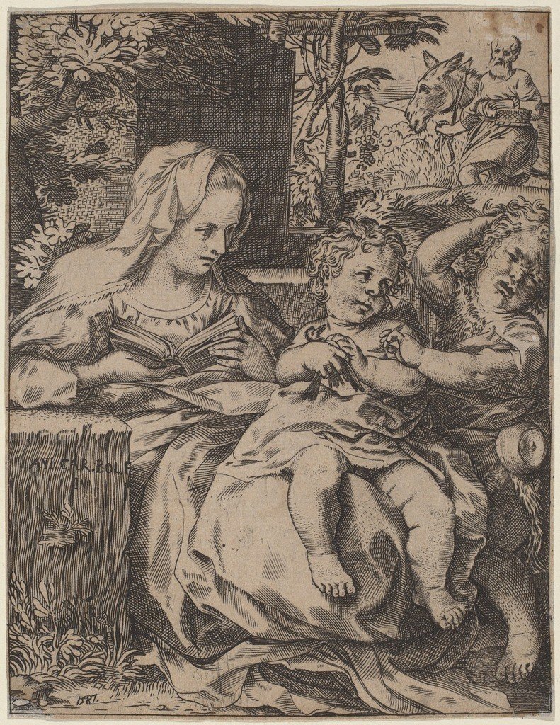 Madonna of the swallow av Annibale Carracci