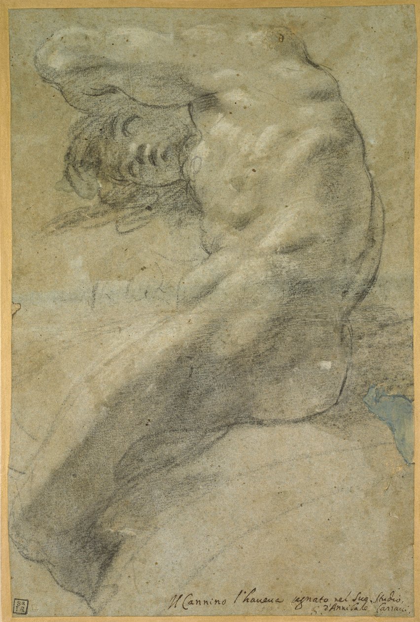 Studie av en naken man av Annibale Carracci