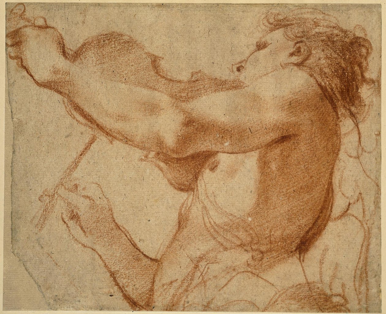 En ängel som spelar violin av Annibale Carracci