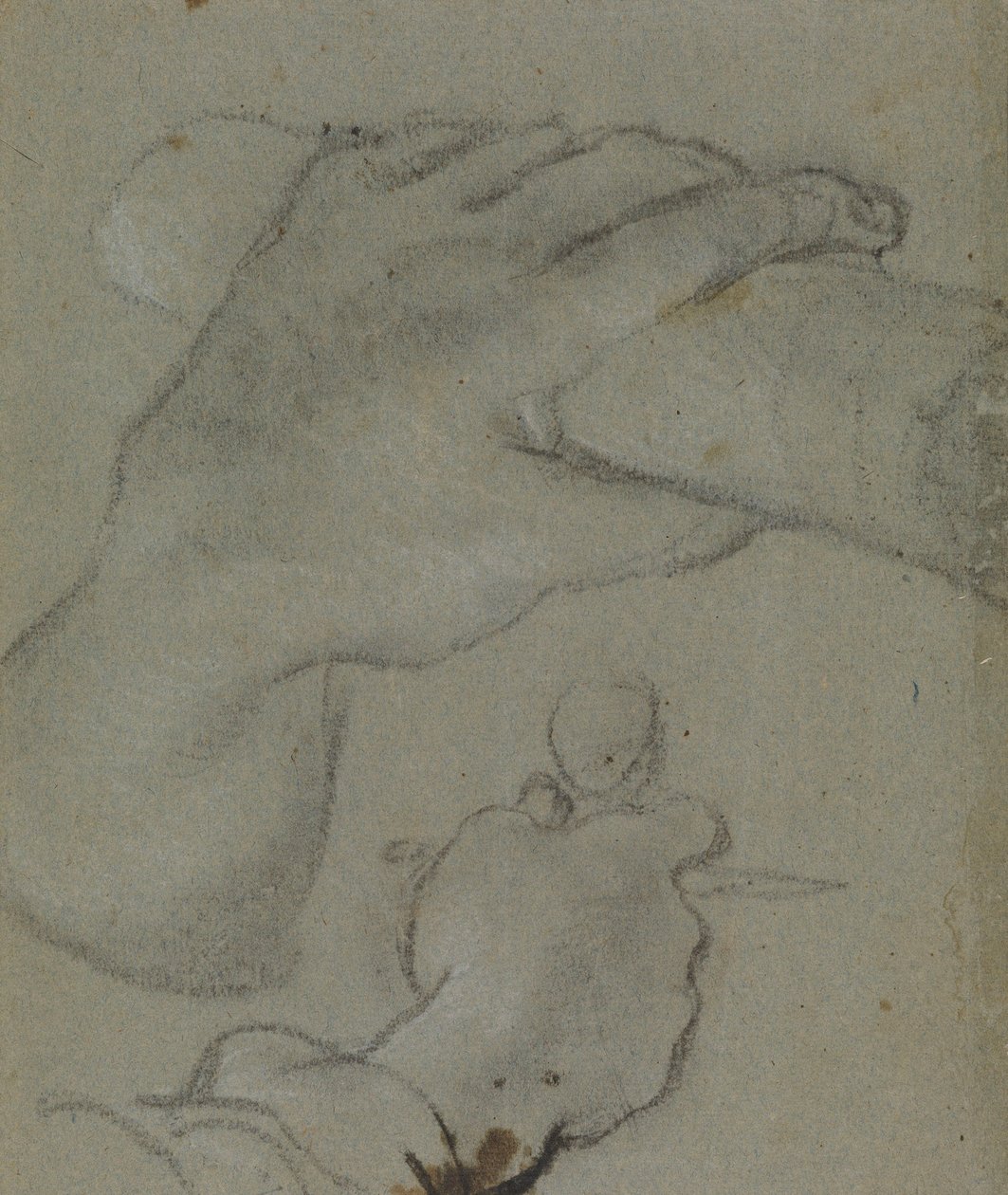Carracci - v-studie för Johannes E:s händer, RCIN 902115 av Annibale Carracci