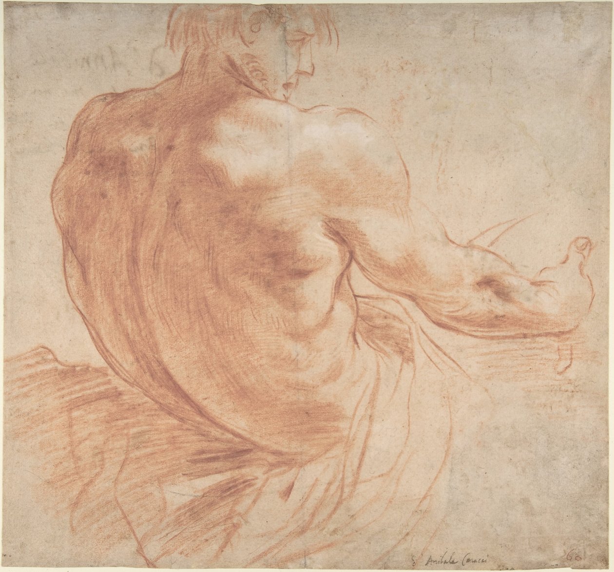 Sittande ung man vänd åt höger, sedd bakifrån av Annibale Carracci