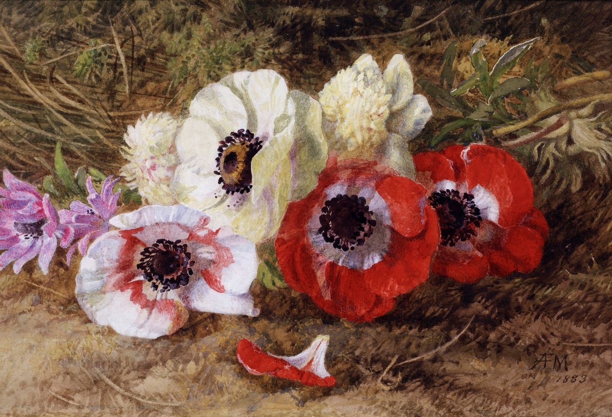  av Annie Feray Mutrie