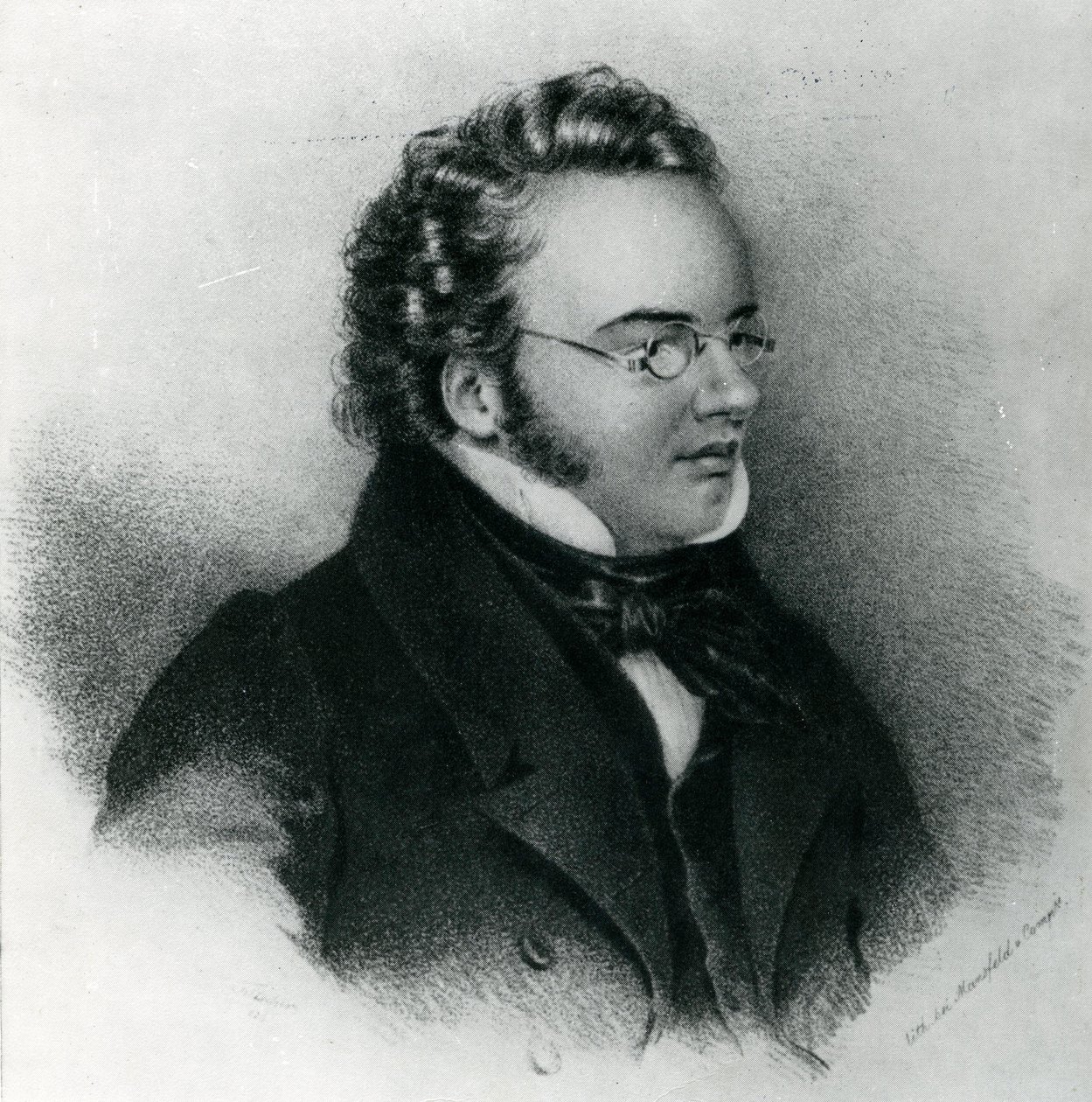 Porträtt av Franz Schubert (1797-1828) av Unbekannt Unbekannt