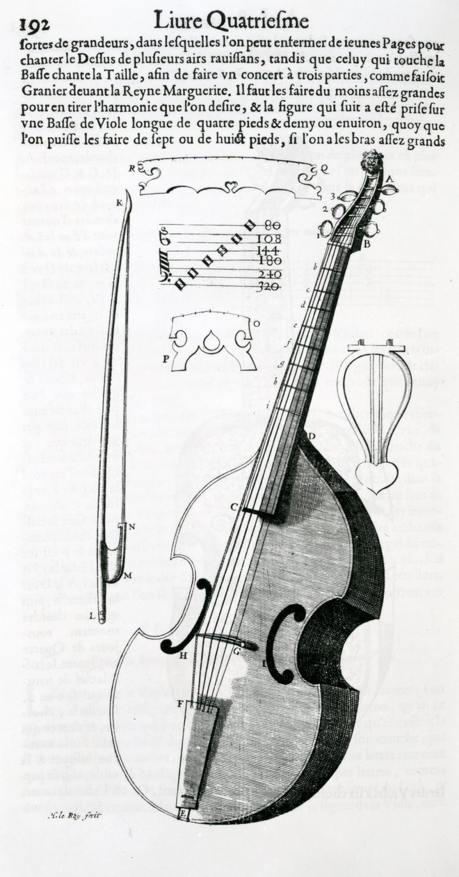 Viola, 1636 av Unbekannt Unbekannt