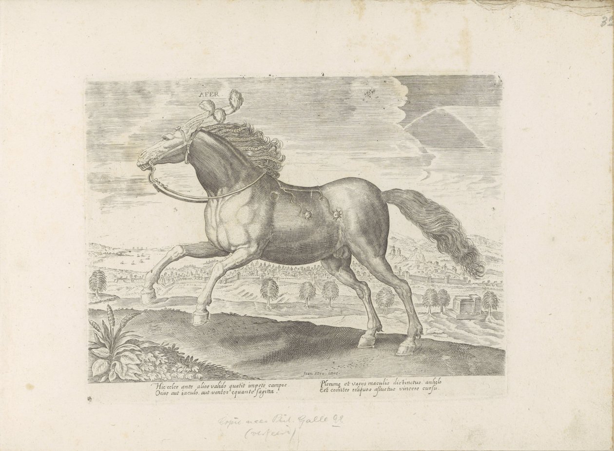 Arabisk paard Ta med (titel på objekt) Paardenrassen uit de Koninklijke stallen van Don Juan van Oostenrijk (serietitel) Hästen, där alla typer av adelsmän: beteendet hos hästar som skiljer sig från olika delar av världen utvalda (...) (serietitel på objek av Anonymous