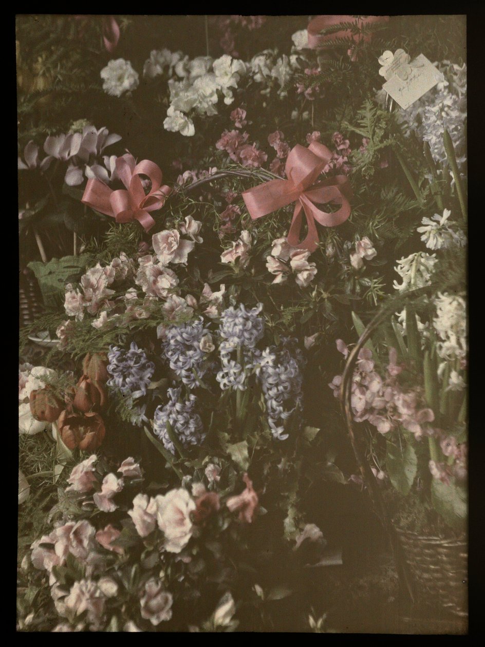 Klasar av blommor med rosett, korg och kort av Anonymous