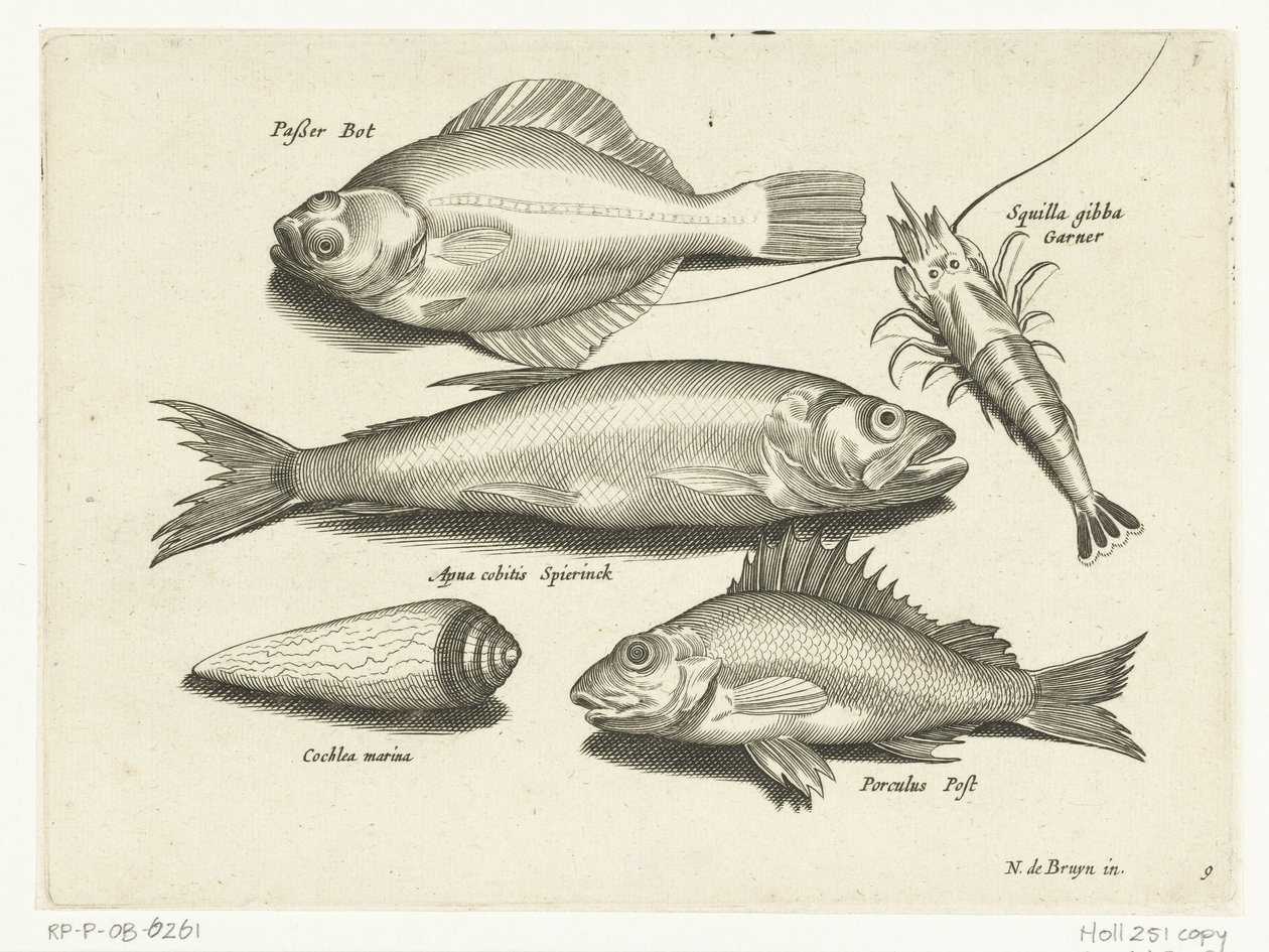 Flundra, räkor, smelt och pos Libelivs diverse Genera piscium complectens (serietitel) Sötvattensfisk, havsfisk, grodor, kräftdjur och havsdjur (serietitel) av Anonymous
