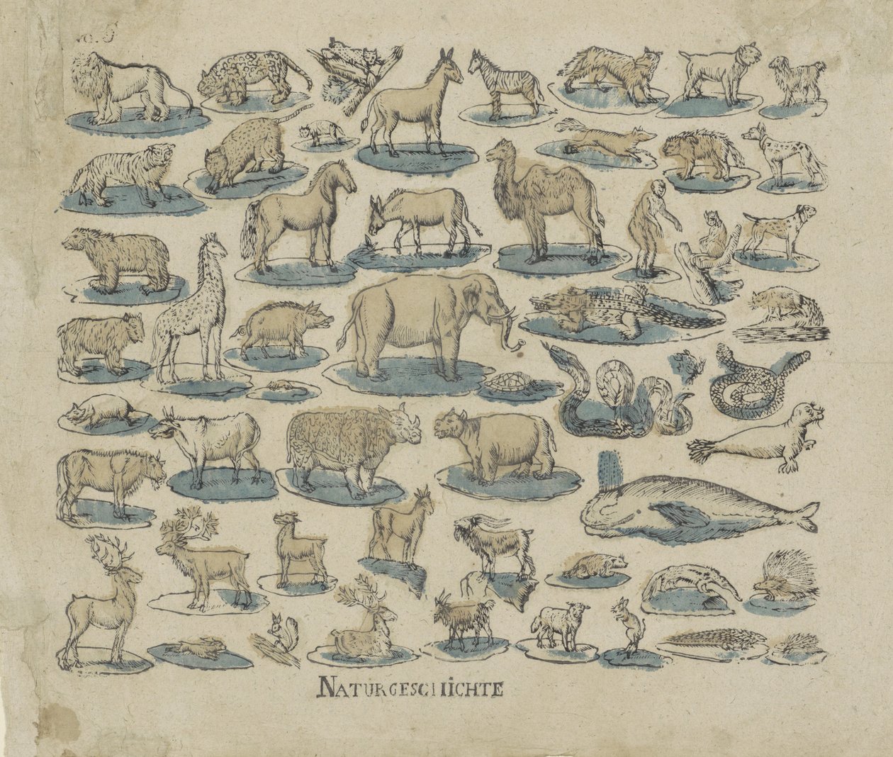 tjänare Natural History (titel på objekt) av Anonymous