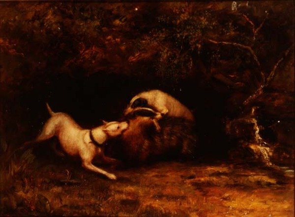 Hundar som betar en grävling, ca 1870 av Anonymous